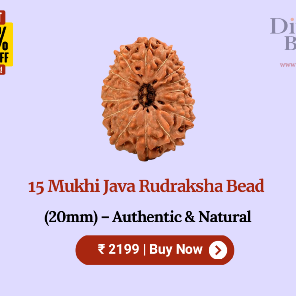 15 Mukhi Java Rudraksha Bead (20mm) – Authentic & Natural